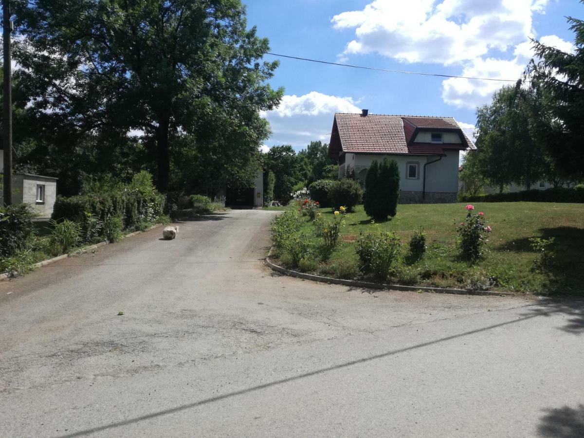 Apartman Jasmin Appartement Čatrnja Buitenkant foto