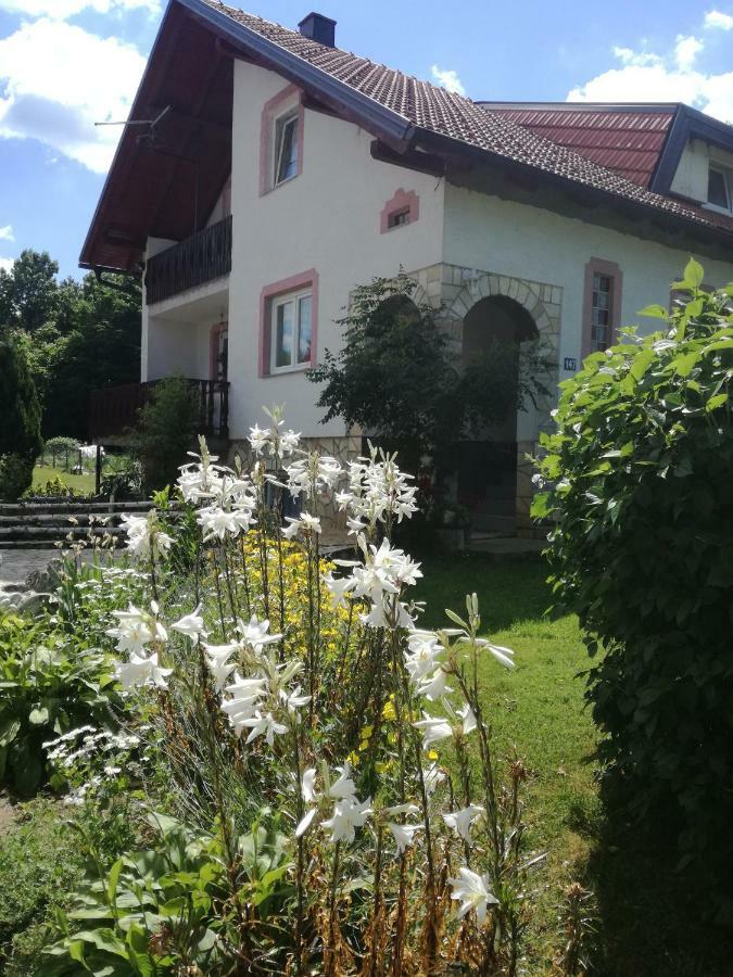 Apartman Jasmin Appartement Čatrnja Buitenkant foto