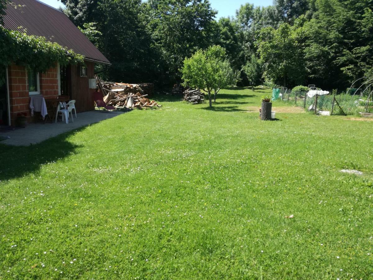 Apartman Jasmin Appartement Čatrnja Buitenkant foto